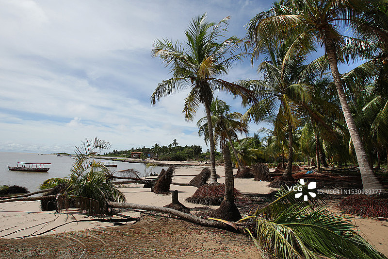 Marajó巴西亚马逊岛图片素材