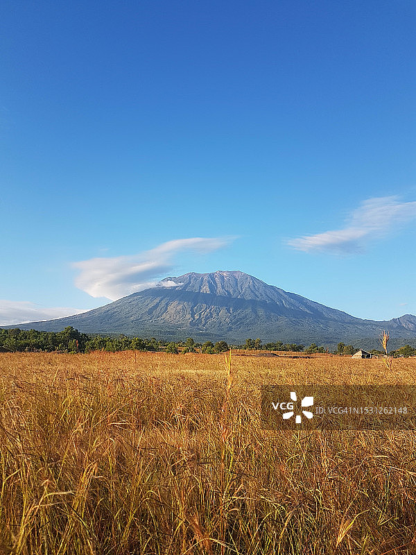 阿贡火山坡上的稀树草原清晨景色图片素材