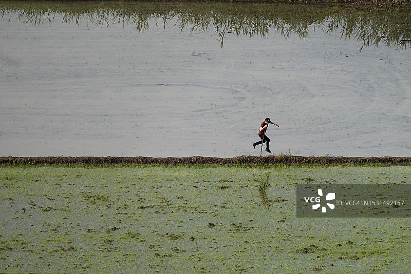 从上方俯瞰奥斯曼吉克地区稻田的灌溉景观图片素材