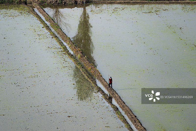 从上方俯瞰奥斯曼吉克地区稻田的灌溉景观图片素材