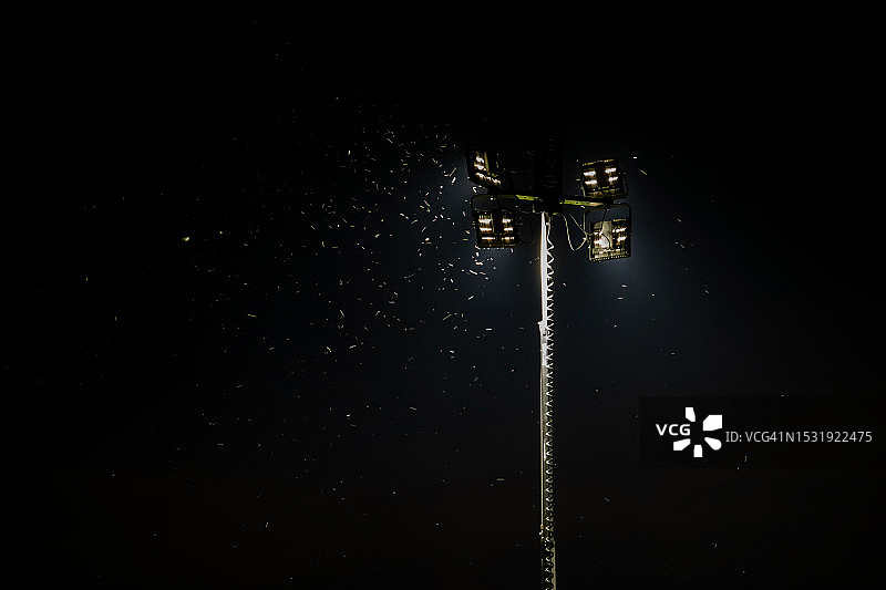 趋光昆虫图片素材