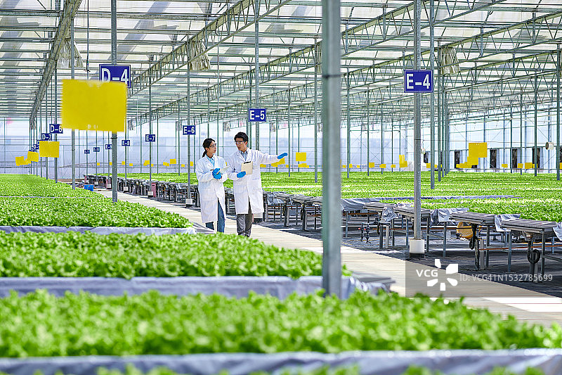 两位亚洲研究员在现代温室中边走边讨论图片素材