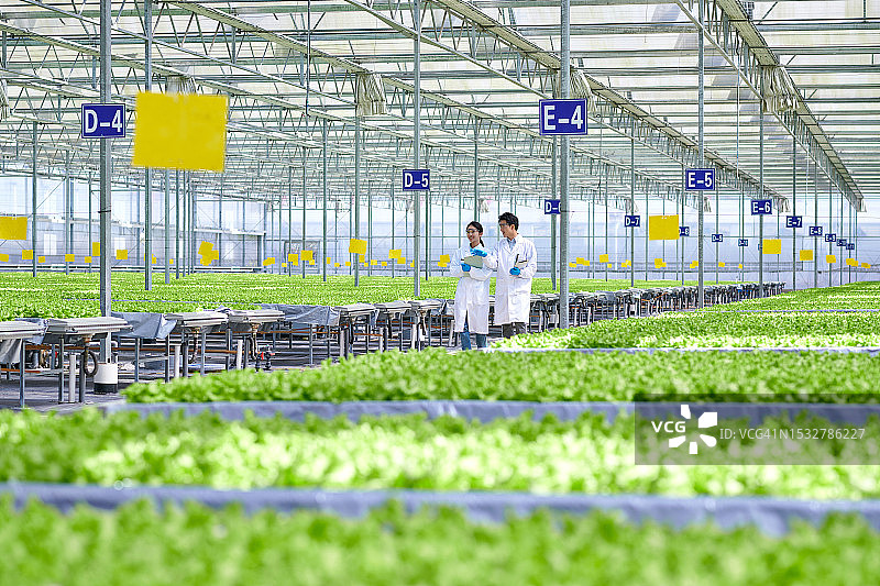 两位亚洲研究员在现代温室中边走边讨论图片素材