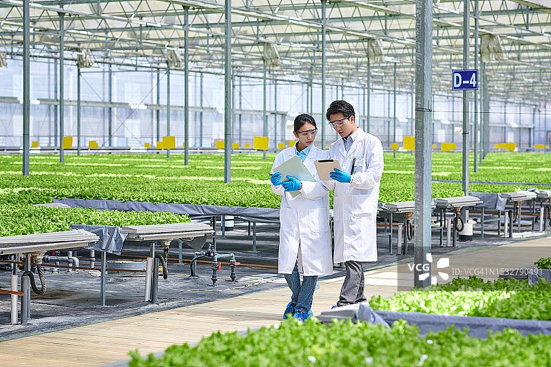 两位亚洲研究员在现代温室中边走边讨论图片素材