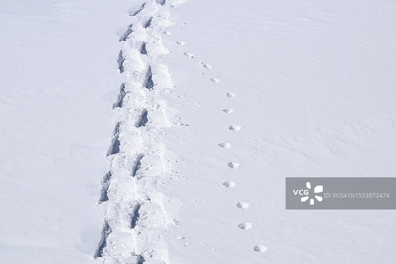 雪覆盖的土地的高角度视图图片素材