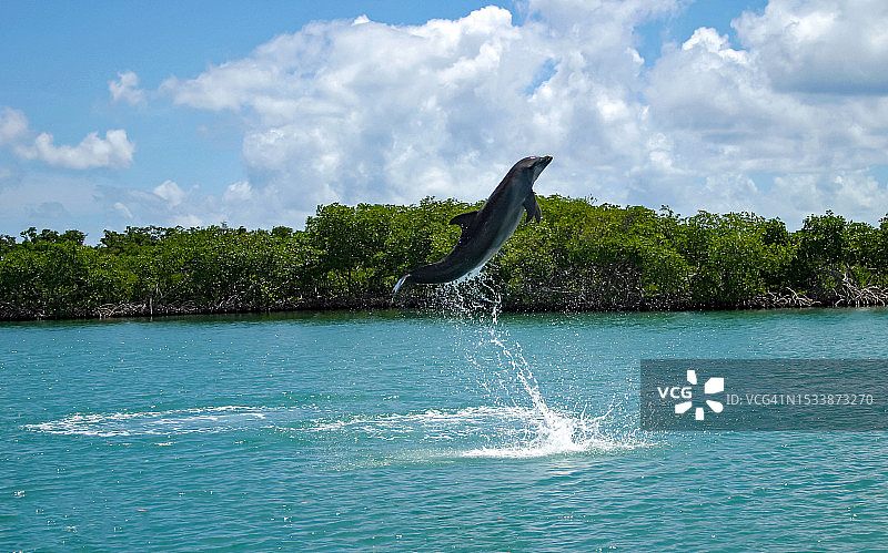 大海对着天空的美景图片素材