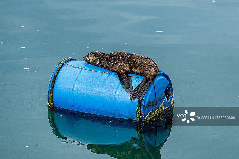 湖中浮标高角度景观图片素材