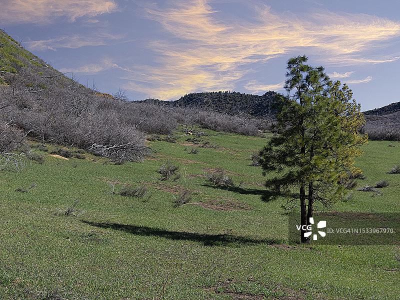 美国科罗拉多州梅萨维德国家公园田野风光图片素材