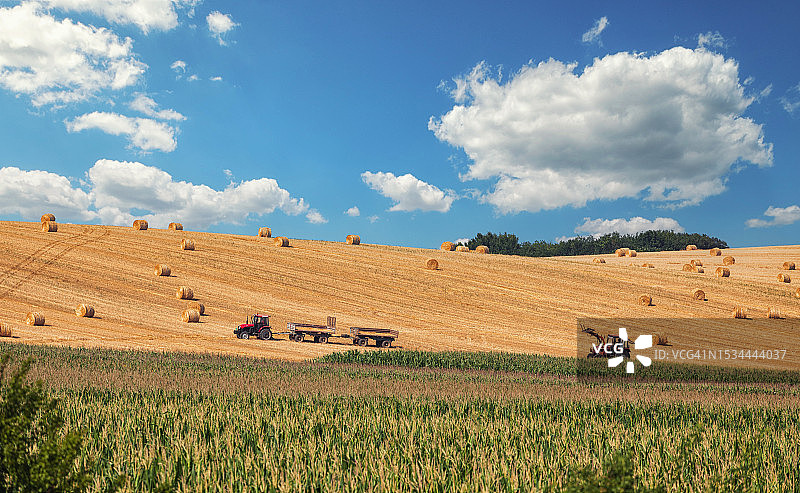 收割后的麦田全景图片素材