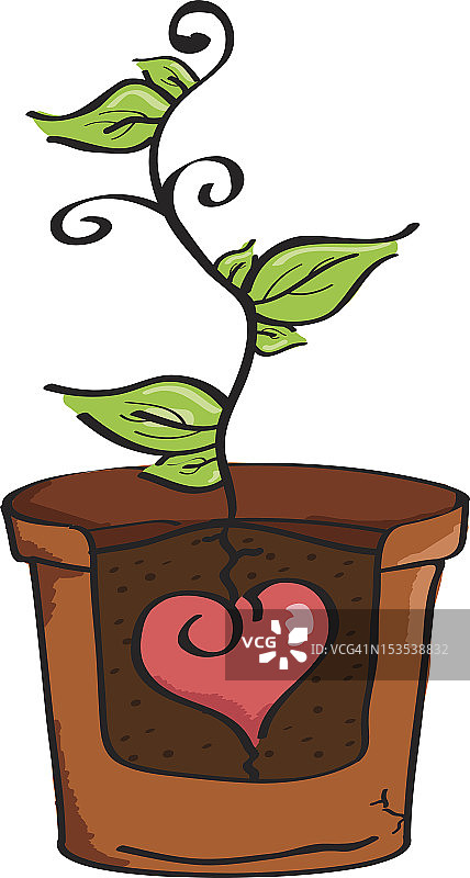 盆栽心形植物图片素材