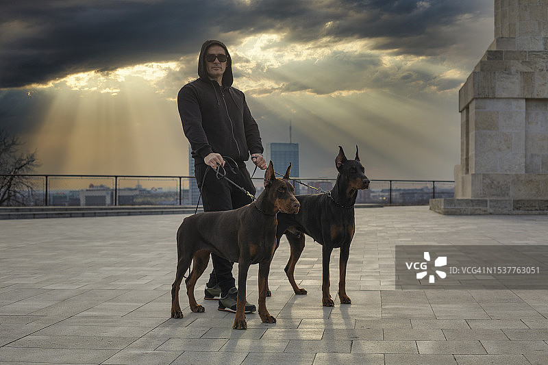 训狗师图片素材