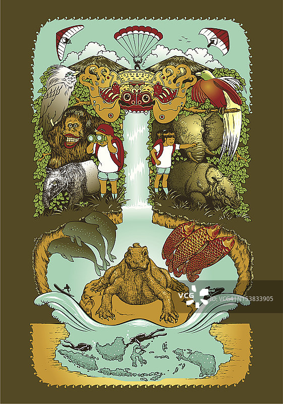 热带魅力图片素材