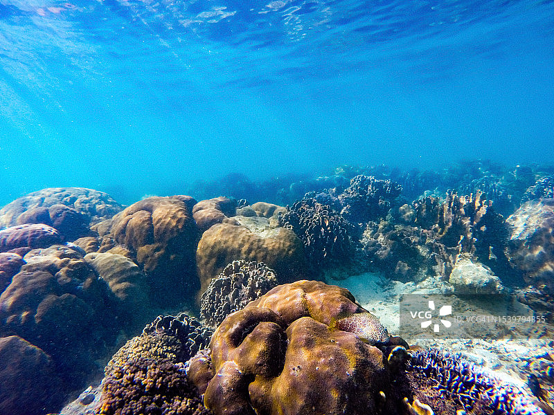 菲律宾长滩岛水下珊瑚礁场景图片素材