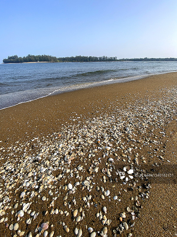 卡瓦尔海滩上的贝壳图片素材