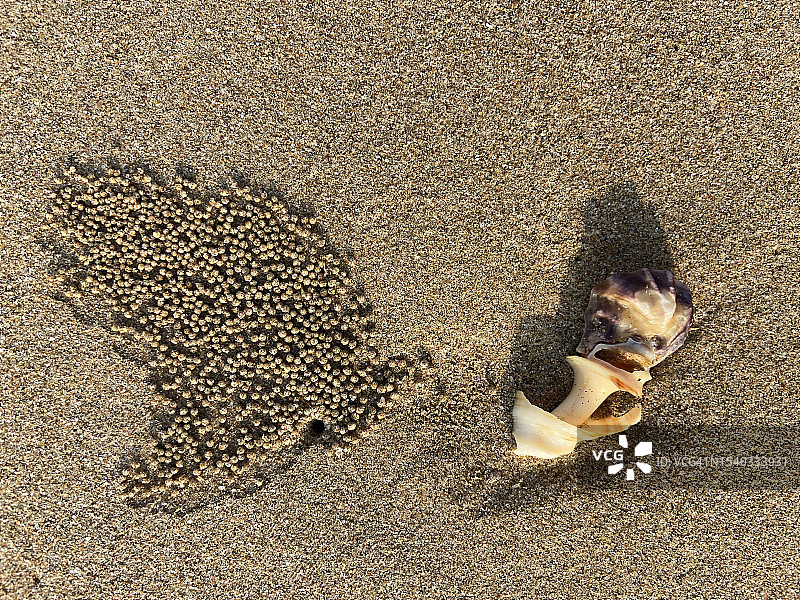 沙滩上的图案图片素材