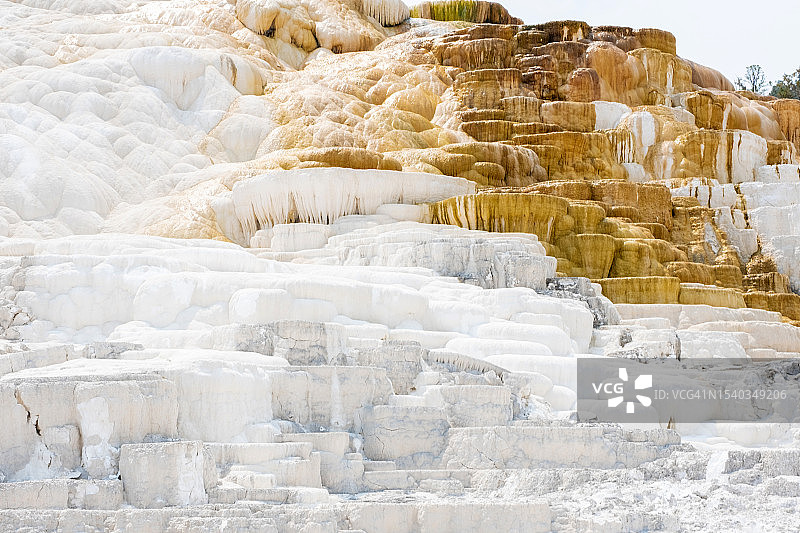 黄石国家公园猛犸温泉地区的钙华梯田图片素材