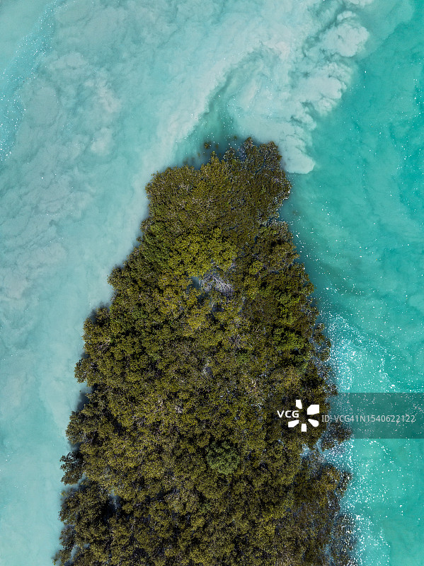 澳大利亚威利河的树木繁茂半岛上的流水图片素材