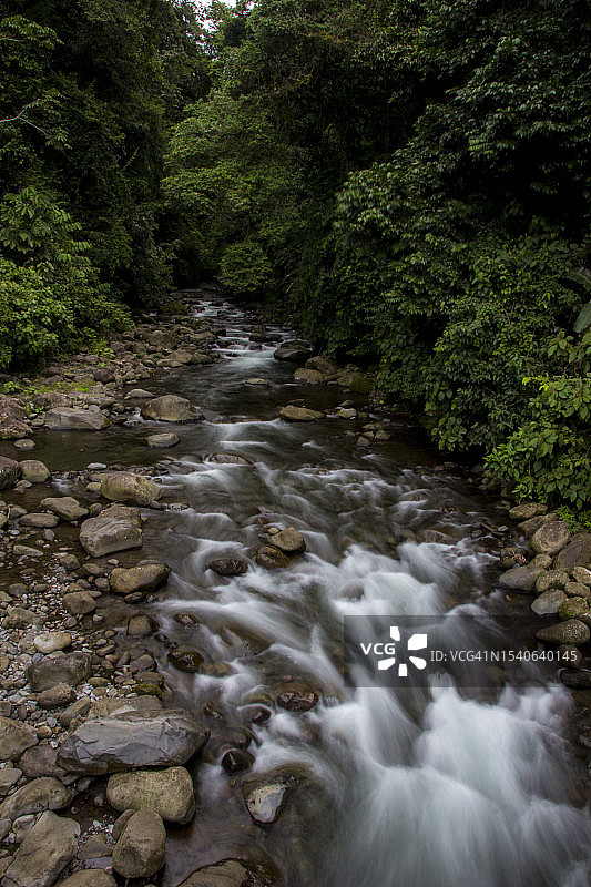 河流在森林中流动的风景图片素材
