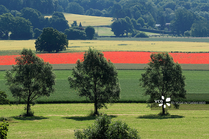 德国波鸿施蒂佩尔的田野树木风光图片素材