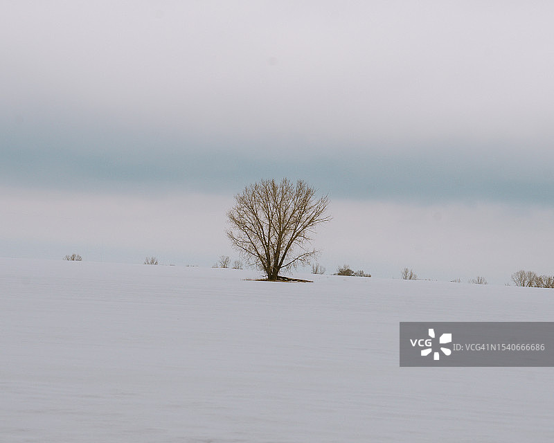 美国科罗拉多州布莱顿的雪原风光图片素材