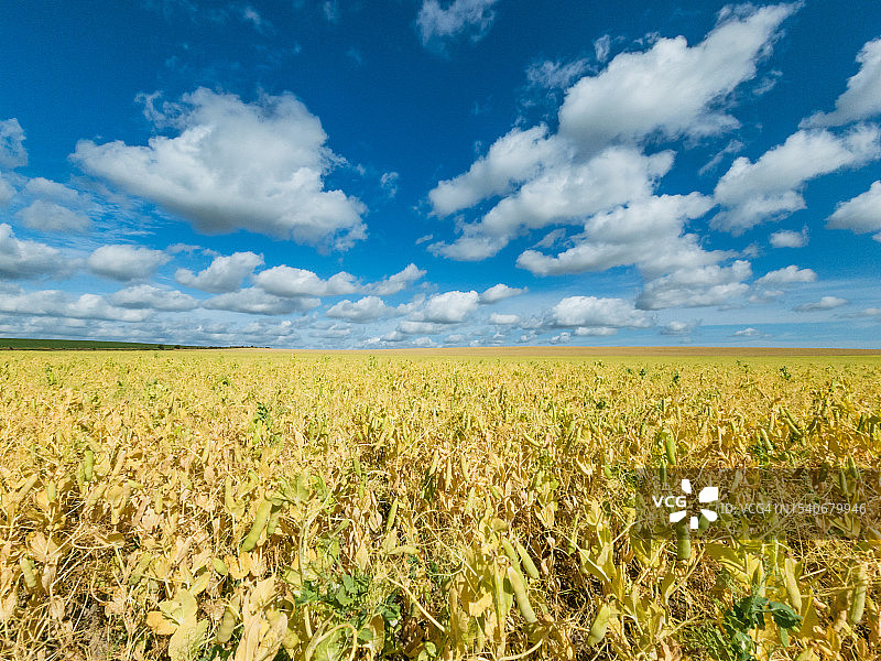 英国赫特福德郡的田园风光，天空下的农田图片素材