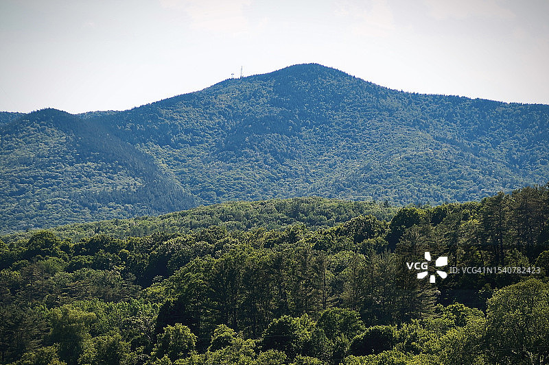 克莱蒙特森林风光，美国新罕布什尔州图片素材