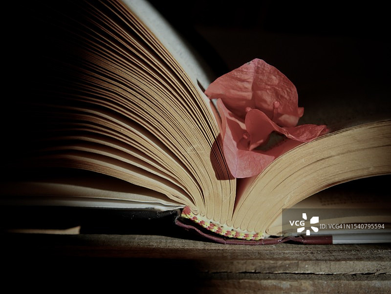 桌子上打开的书本特写，墨西哥图片素材