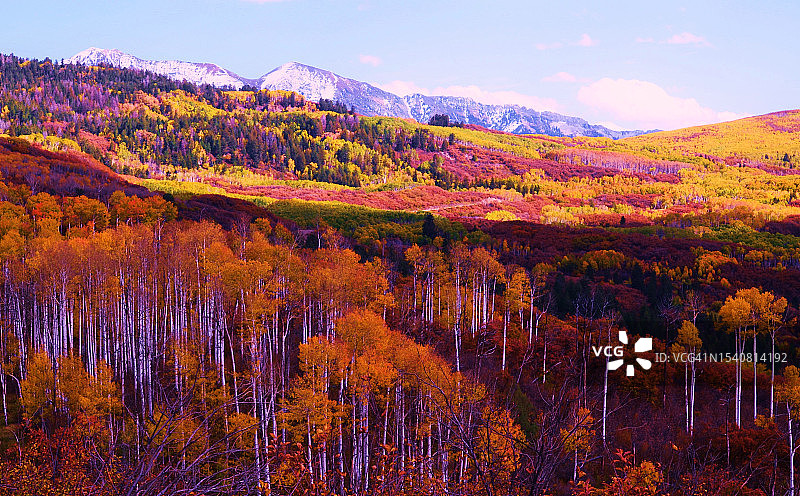 秋季科罗拉多州森林风光，美国图片素材
