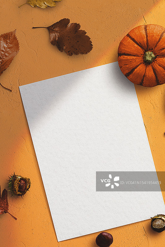 南瓜、秋叶橙色背景秋季模板图片素材