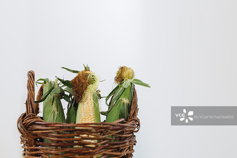 篮子里的玉米棒图片素材