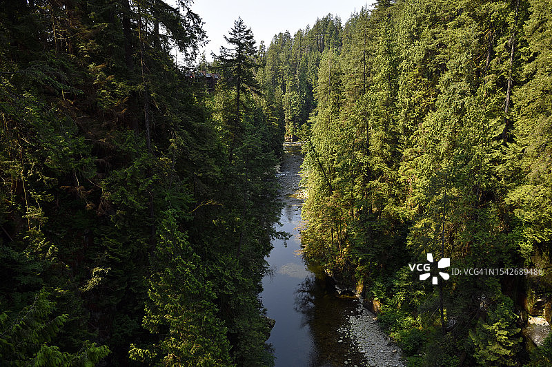温哥华卡皮拉诺吊桥上的卡皮拉诺河图片素材