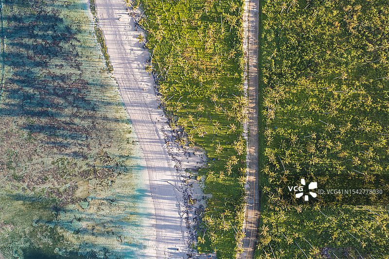 菲律宾棕榈树间的沿海公路图片素材