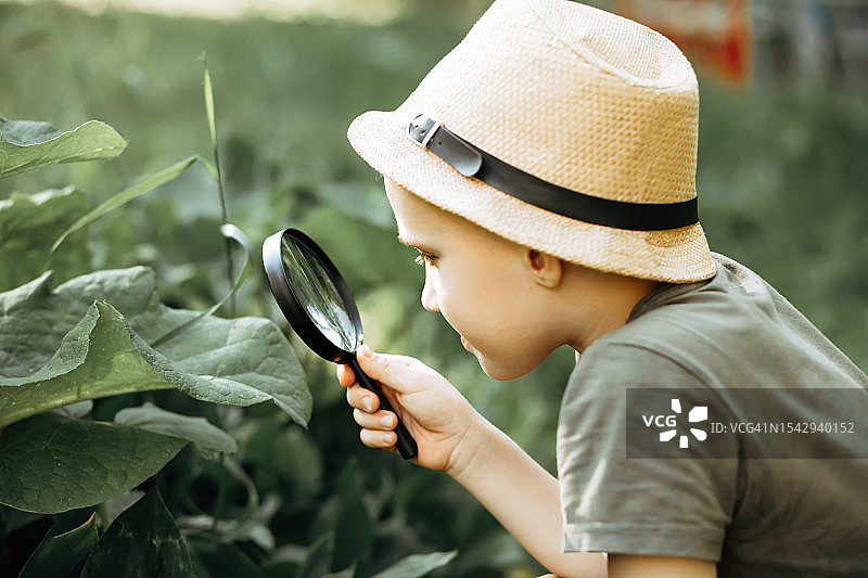 白人男孩用放大镜探索自然环境图片素材