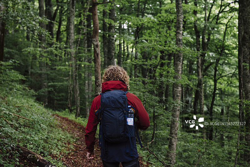 在比奥格勒格勒国家公园徒步的男人，欧洲最古老的自然保护地（1878年）图片素材
