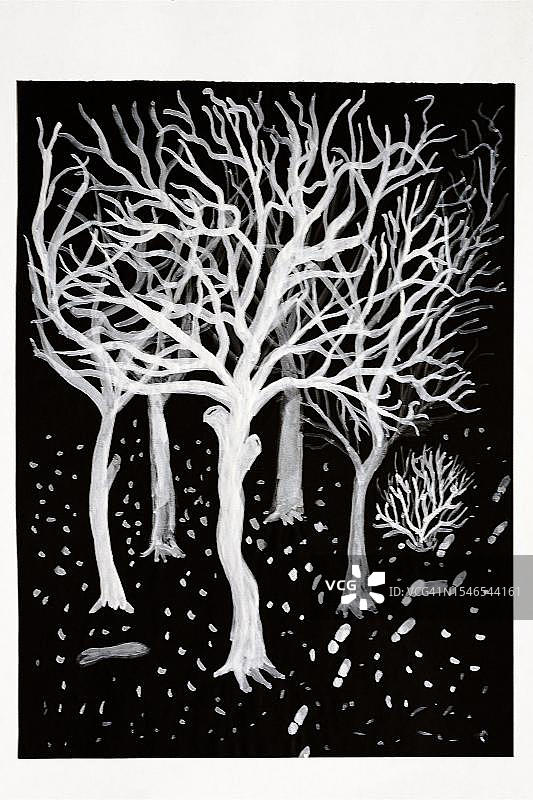1960年的3a绘画课，光秃秃的树木，黑色纸上的白色不透明颜色，德国巴伐利亚图片素材