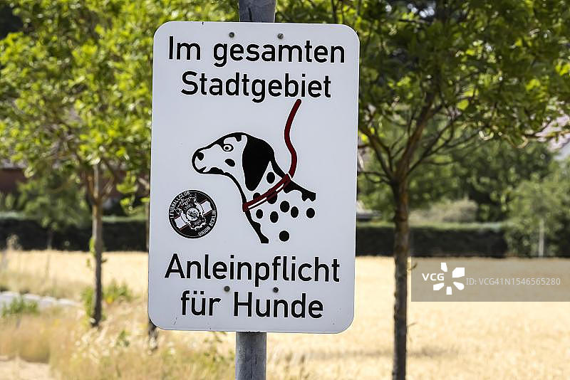 强制牵引绳，在萨克森州城市区域内狗必须系上皮带图片素材