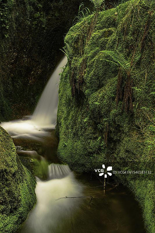 德国巴登-符腾堡州黑森林国家公园戈特施拉格溪流的埃德尔弗劳恩格拉布瀑布图片素材