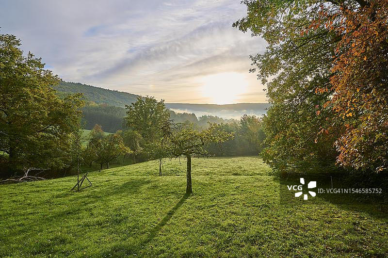 德国巴伐利亚奥登瓦尔德基尔希采尔的草甸森林日出云景图片素材