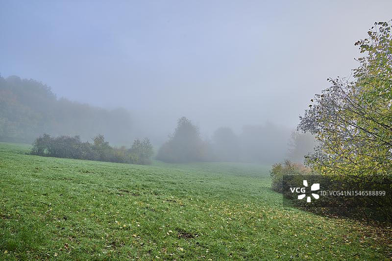 风景，草地，森林，雾，早晨，奥登瓦尔德，基尔希采尔，奥登瓦尔德，巴伐利亚，德国图片素材