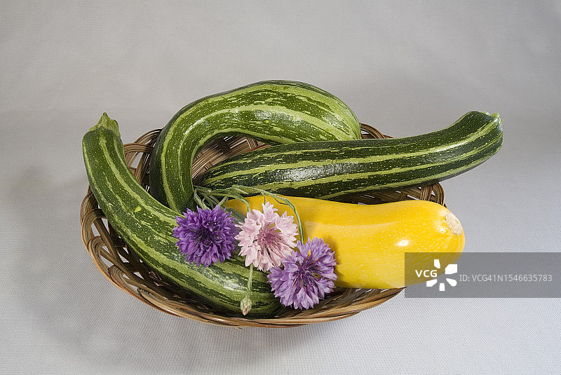 西葫芦和夏季南瓜图片素材