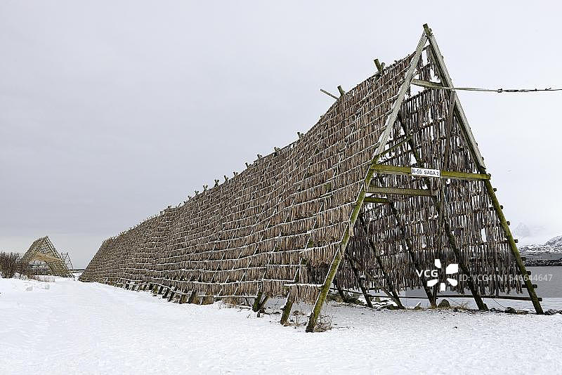 鳕鱼干晾晒架，斯沃尔韦尔，罗弗敦群岛，挪威图片素材