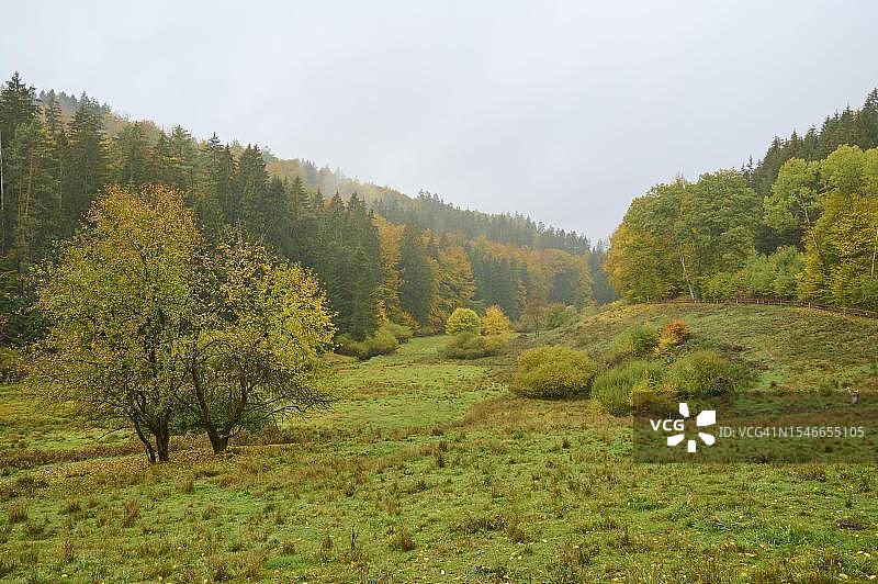 森林、山谷、草地、秋季，德国巴伐利亚斯佩萨特哈芬洛尔塔尔罗滕布赫图片素材