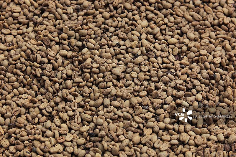 哥伦比亚共和国绿色生咖啡豆图片素材