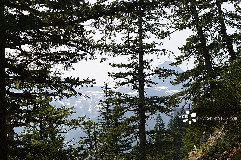 华盛顿州北美喀斯喀特国家公园迪亚布洛湖步道图片素材