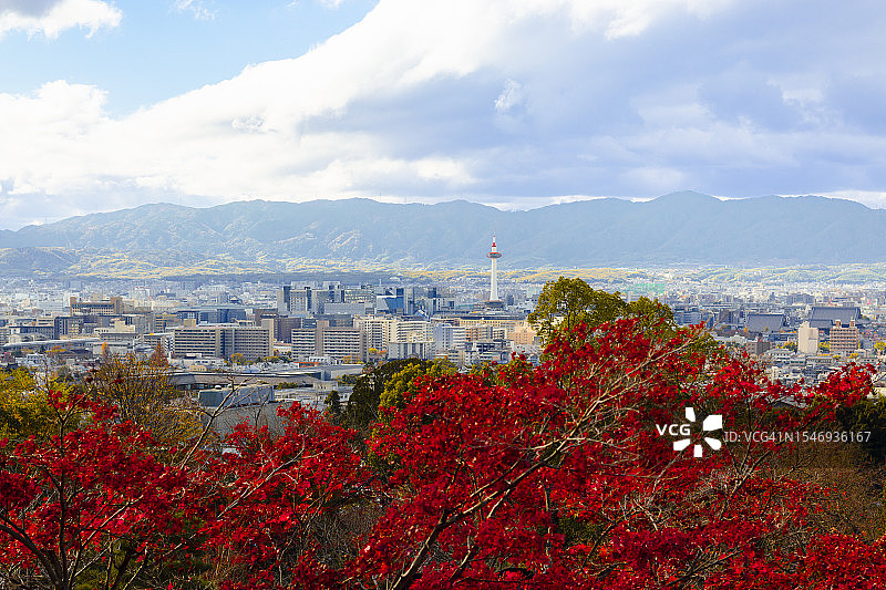 京都的秋景图片素材