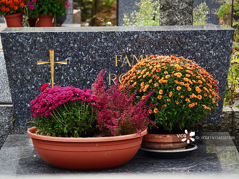 法国巴黎带有盆栽花卉的大理石墓特写图片素材