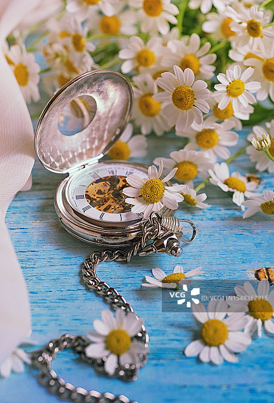 夏日时光图片素材