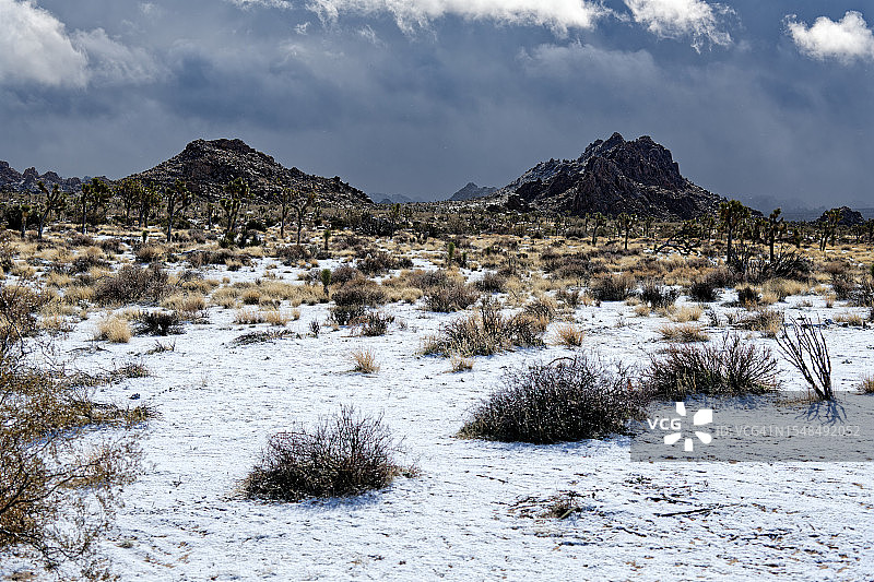 冬季户外乐趣图片素材