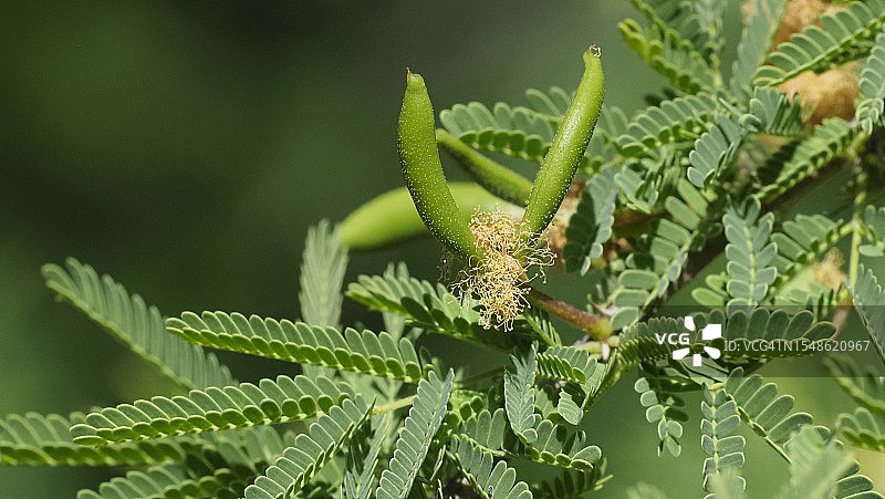 罪恶的本质图片素材