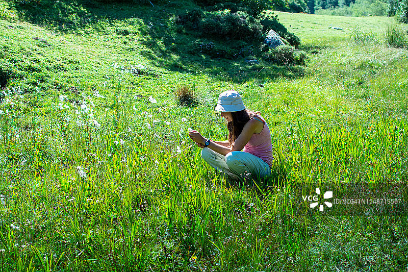 使用应用程序识别植物的年轻女人图片素材